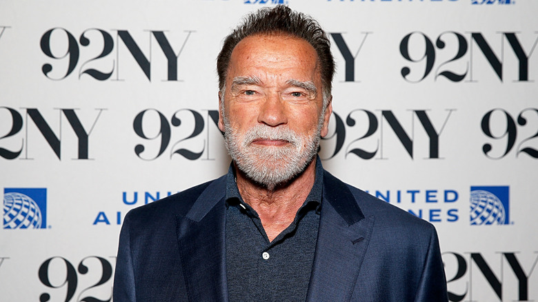 Arnold Schwarzenegger gray beard