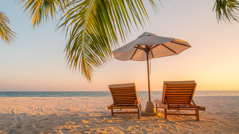 chairs and umbrella on the beach