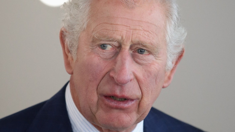 Prince Charles speaking