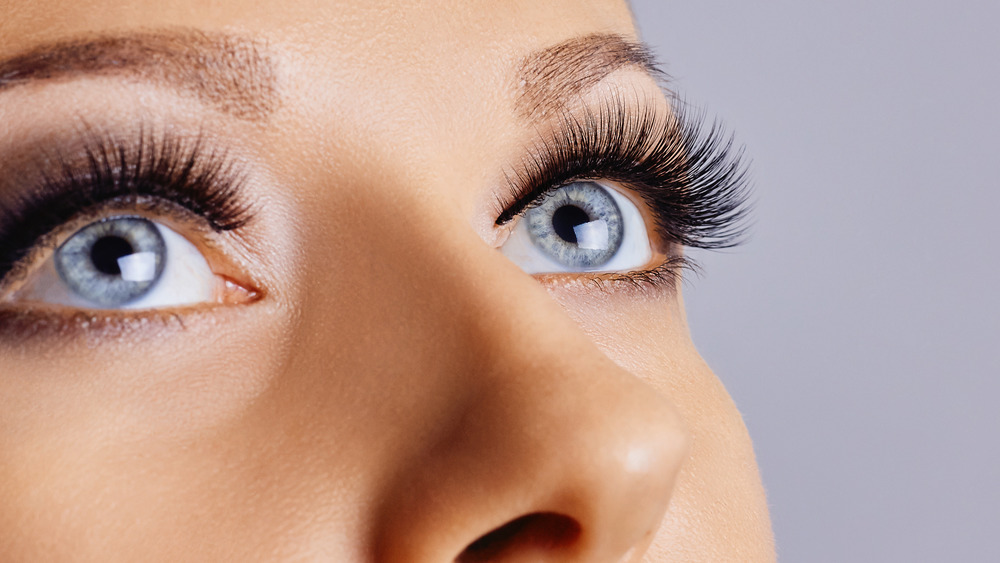 Close-up of woman's full eyelashes