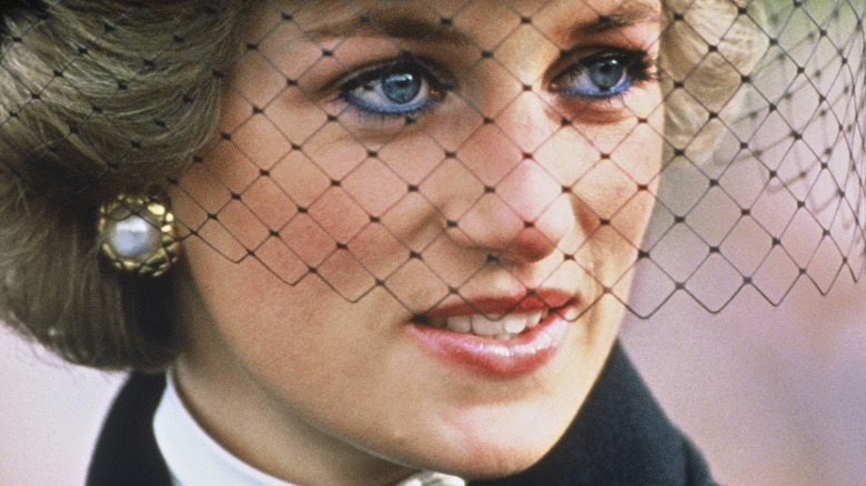 Princess Diana blue eyes