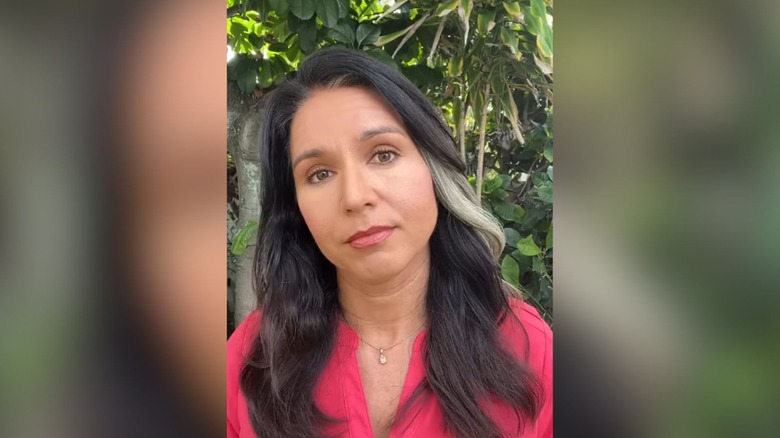 Tulsi Gabbard claims there are over 25 U.S.-funded biolabs in Ukraine