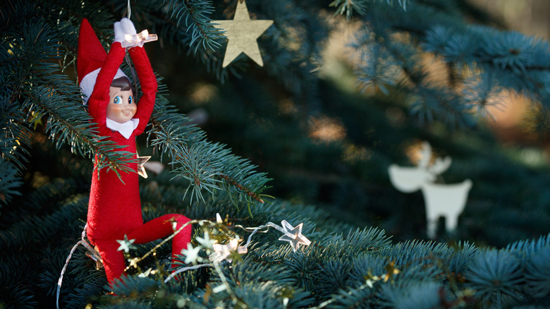 Elf on the shelf in a tree