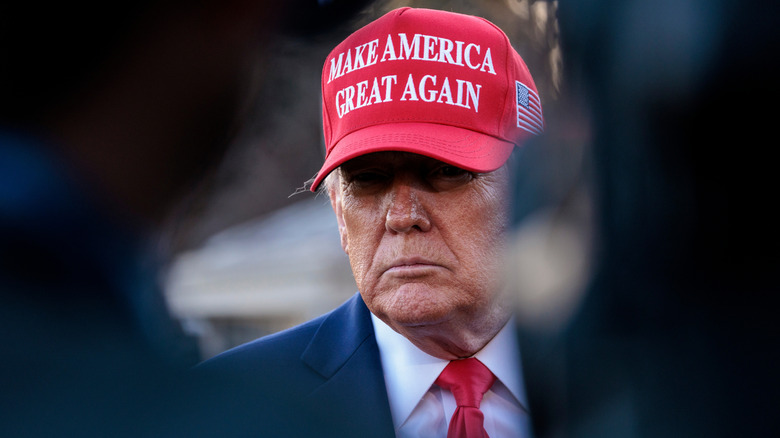 Donald Trump speaks to reporters on the South Lawn of the White House in February 2025