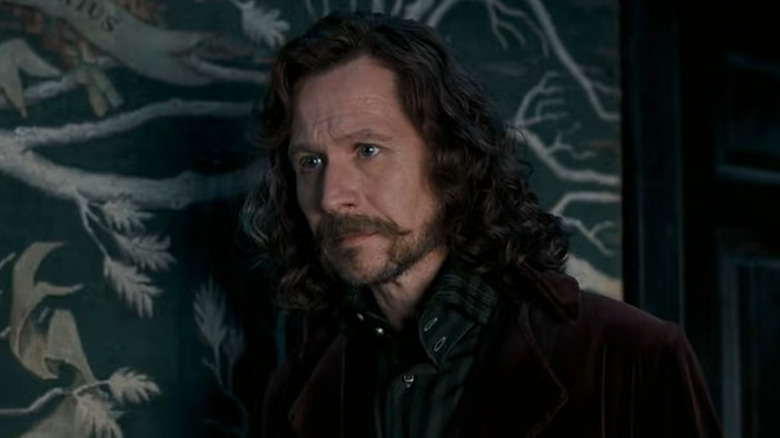 Gary Oldman as Sirius Black in Harry Potter