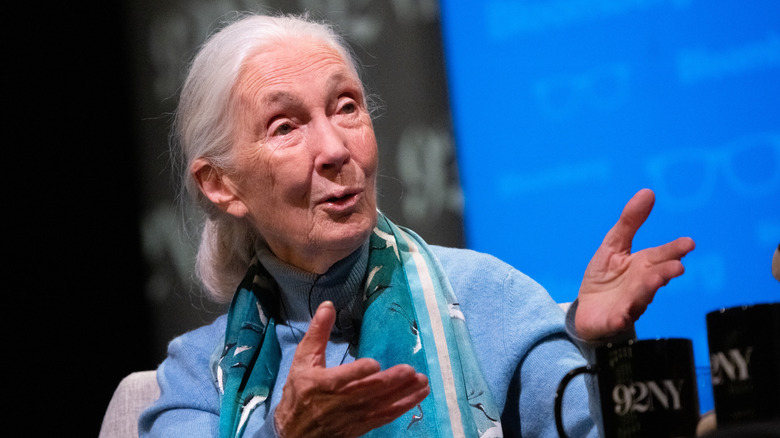 Dr. Jane Goodall speaking
