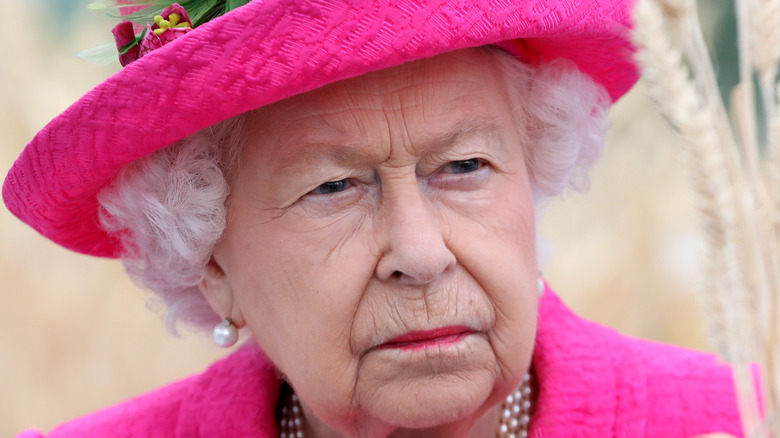 Queen Elizabeth wears a pink suit.