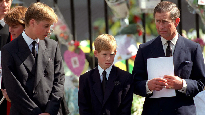 William, Prince of Wales, Prince Harry, and King Charles grieving at Princess Diana's funeral