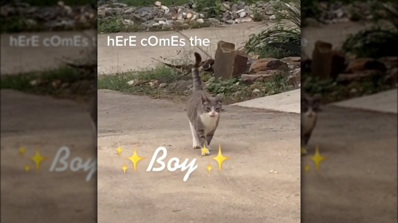 Here comes the boy screenshot 