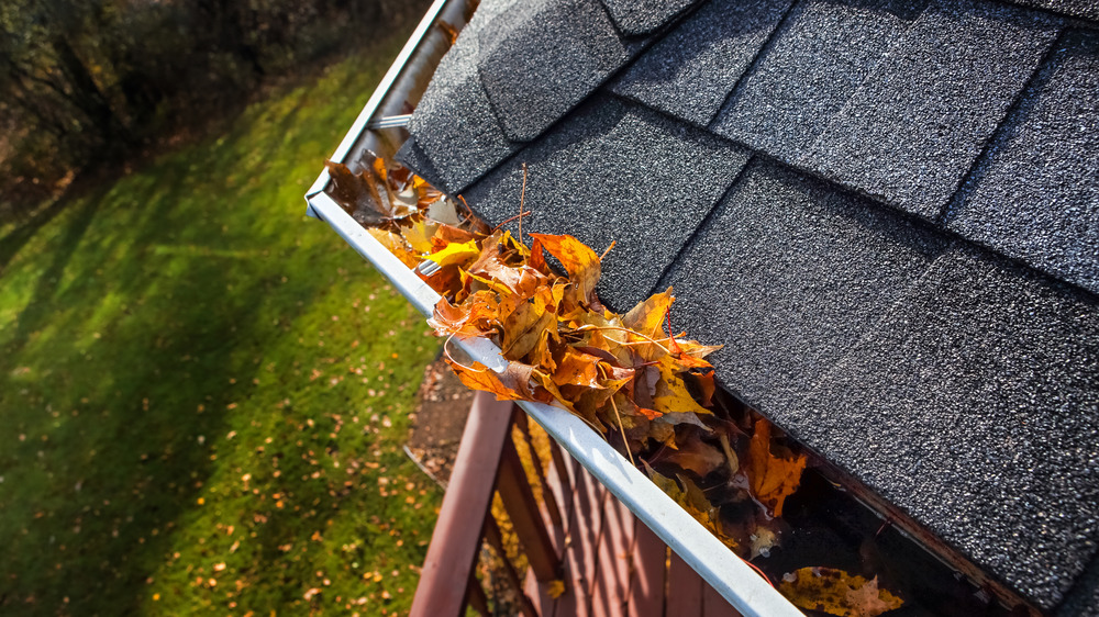 Clogged gutters