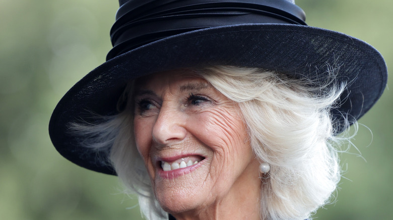 Camilla, queen consort 