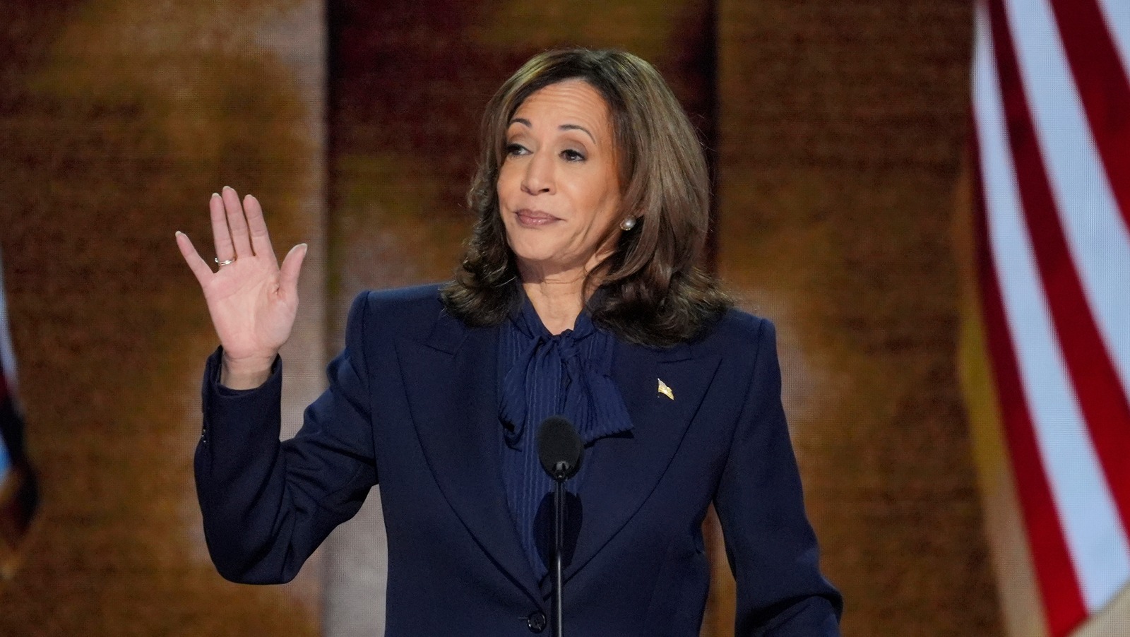 卡马拉·哈里斯(Kamala Harris)和乔·罗根(Joe Rogan)采访电视剧解释说 卡马拉·哈里斯(Kamala Harris)和乔·罗根(Joe Rogan)采访电视剧解释说