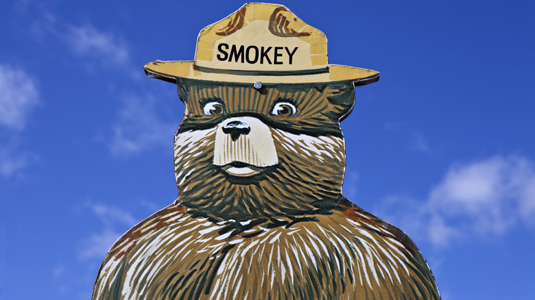 Painted sign depicting Smokey Bear
