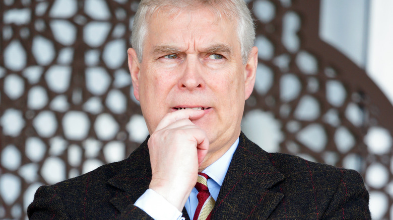 Prince Andrew thinking hard