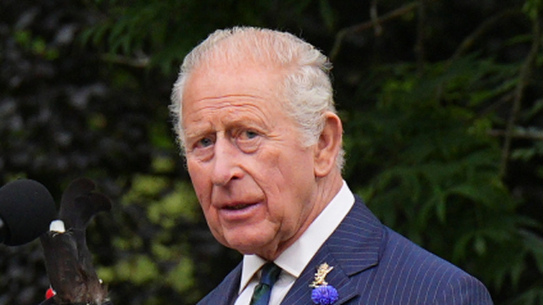 King Charles in blue pinstripe jacket and thistle looking at camera