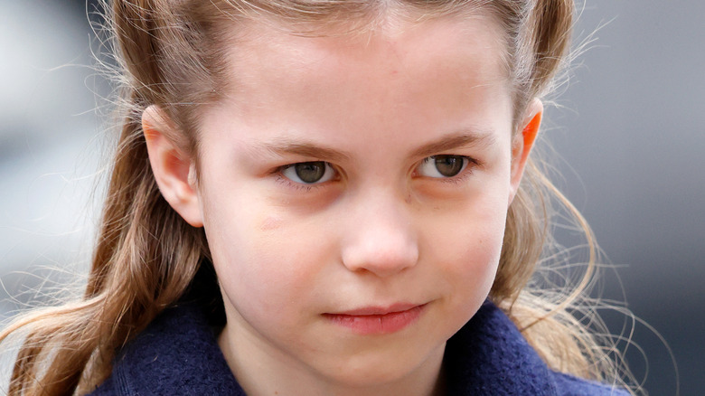 Princess Charlotte posing for a photo