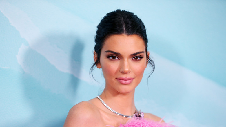 Kendall Jenner poses on the red carpet