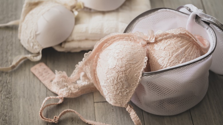 Bras in a lingerie washing bag