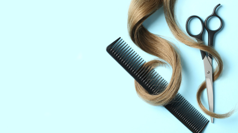 Flat lay with light brown hair, comb, and scissors 