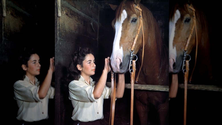 Elizabeth Taylor on the set of the 1944 film National Velvet
