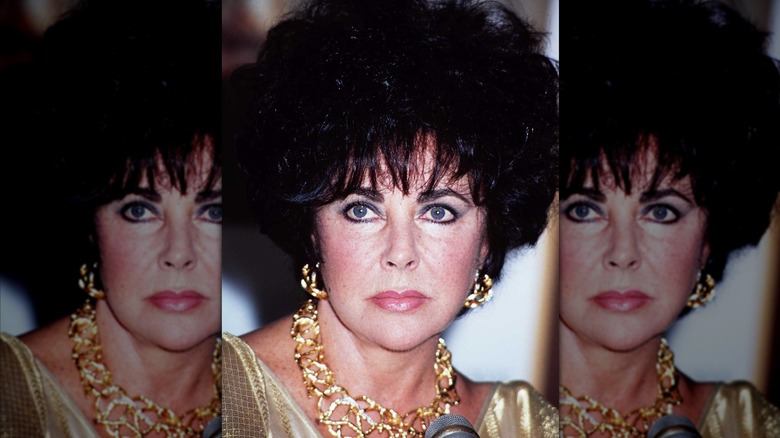 A photo of Elizabeth Taylor at a press conference in 1994
