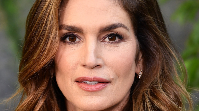 Cindy Crawford poses on the red carpet