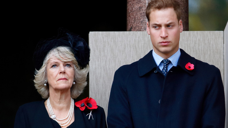 Queen Camilla and Prince Andrew at 2006 Remembrance Day