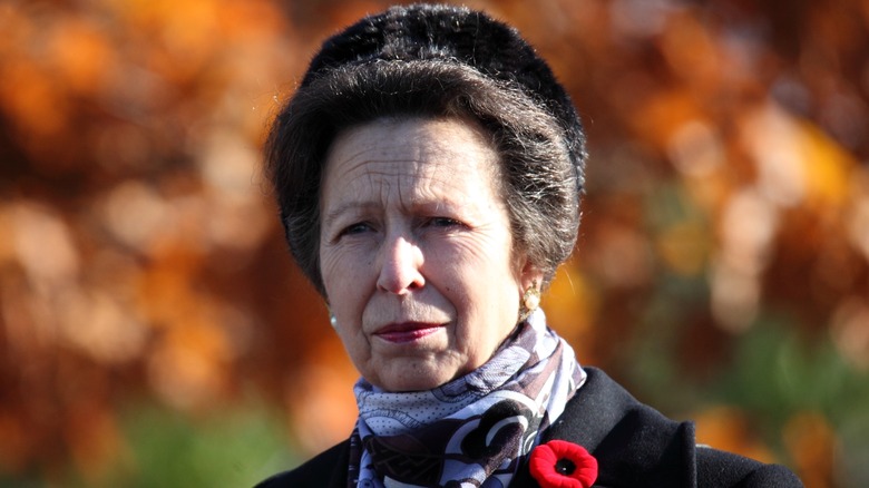 Princess Anne fur hat