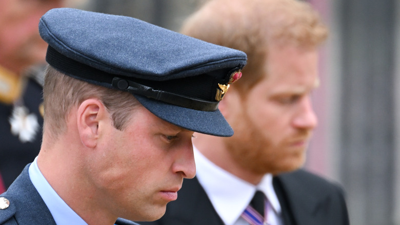 prince william and prince harry looking down