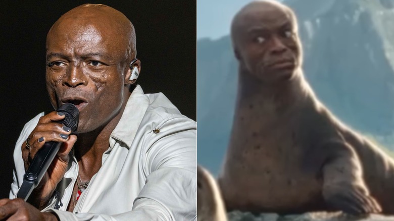 Seal in white shirt holding mic and seal as a seal on a rock.