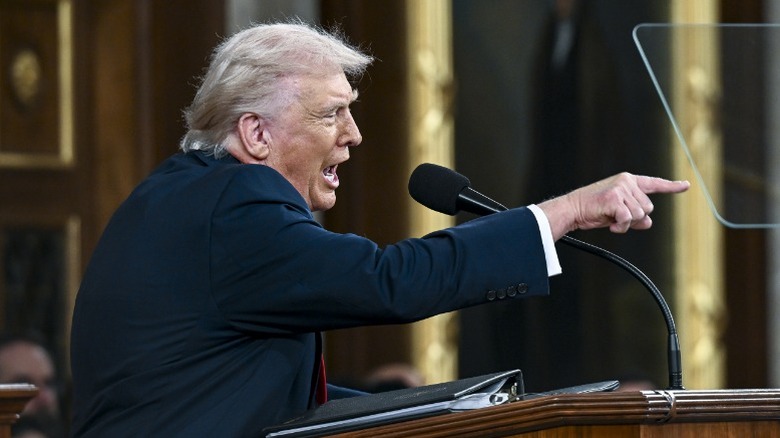 Donald Trump delivers the State of the Union address in the House Chamber in Washington, DC (2026)