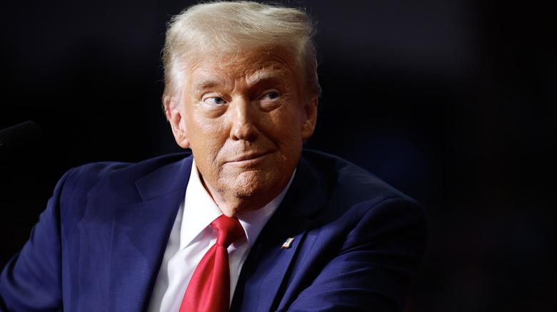 Donald Trump smirking while raising an eyebrow in a navy suit with a red tie