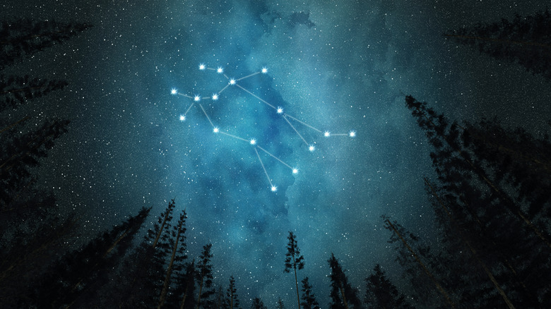 Gemini constellation in night sky