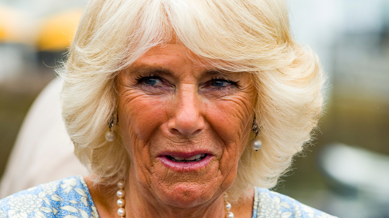 Camilla Parker Bowles wrinkles 