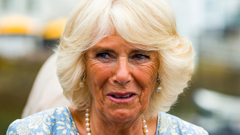 Closeup of Camilla, Queen Consort