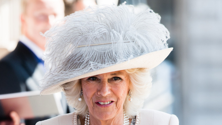 Closeup of Camilla, Queen Consort, in elaborate cream, feathered hat