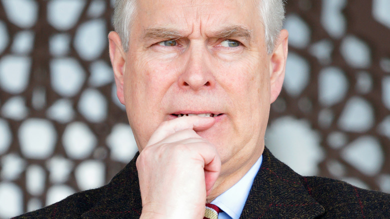 Prince Andrew with questioning look