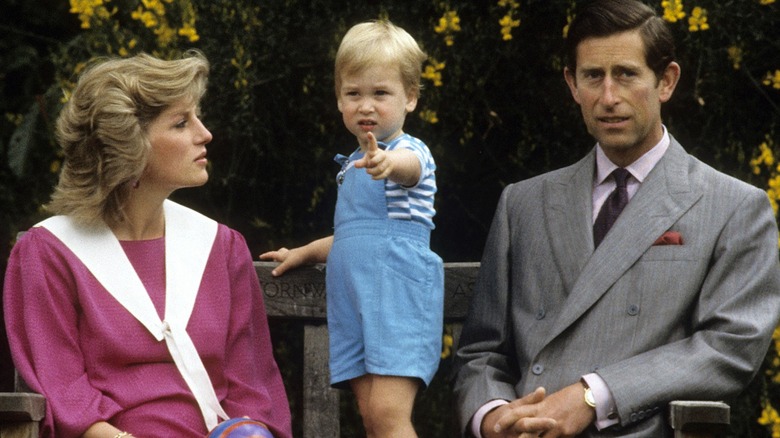 Princess Diana, King Charles, and young Prince William outside