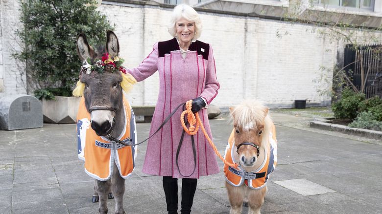 Camilla wore a riding dress to Brooke Action in 2018