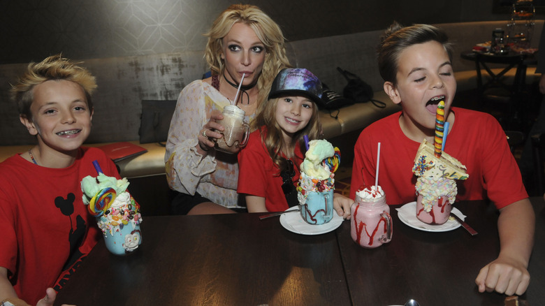 A 2017 family outing with Britney Spears, Sean Preston Federline, Jayden James Federline, and Spears' niece, Maddie Aldridge