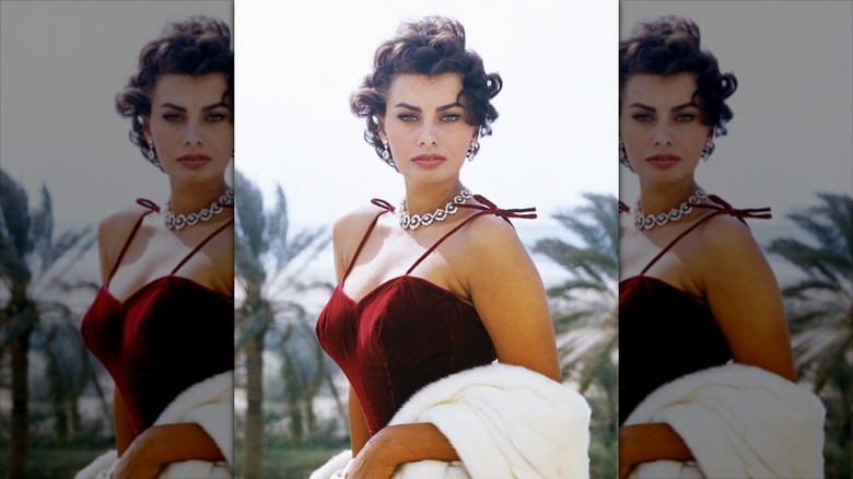 Sophia Loren posing for a photo