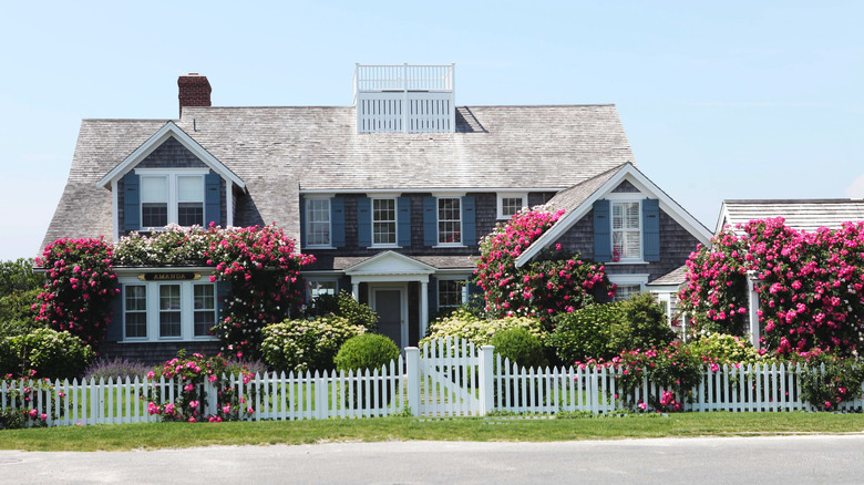 exterior of classic Cape Cod home