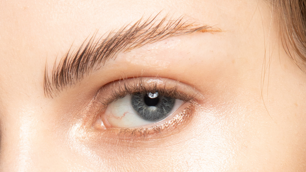 Closeup of woman's eyebrows