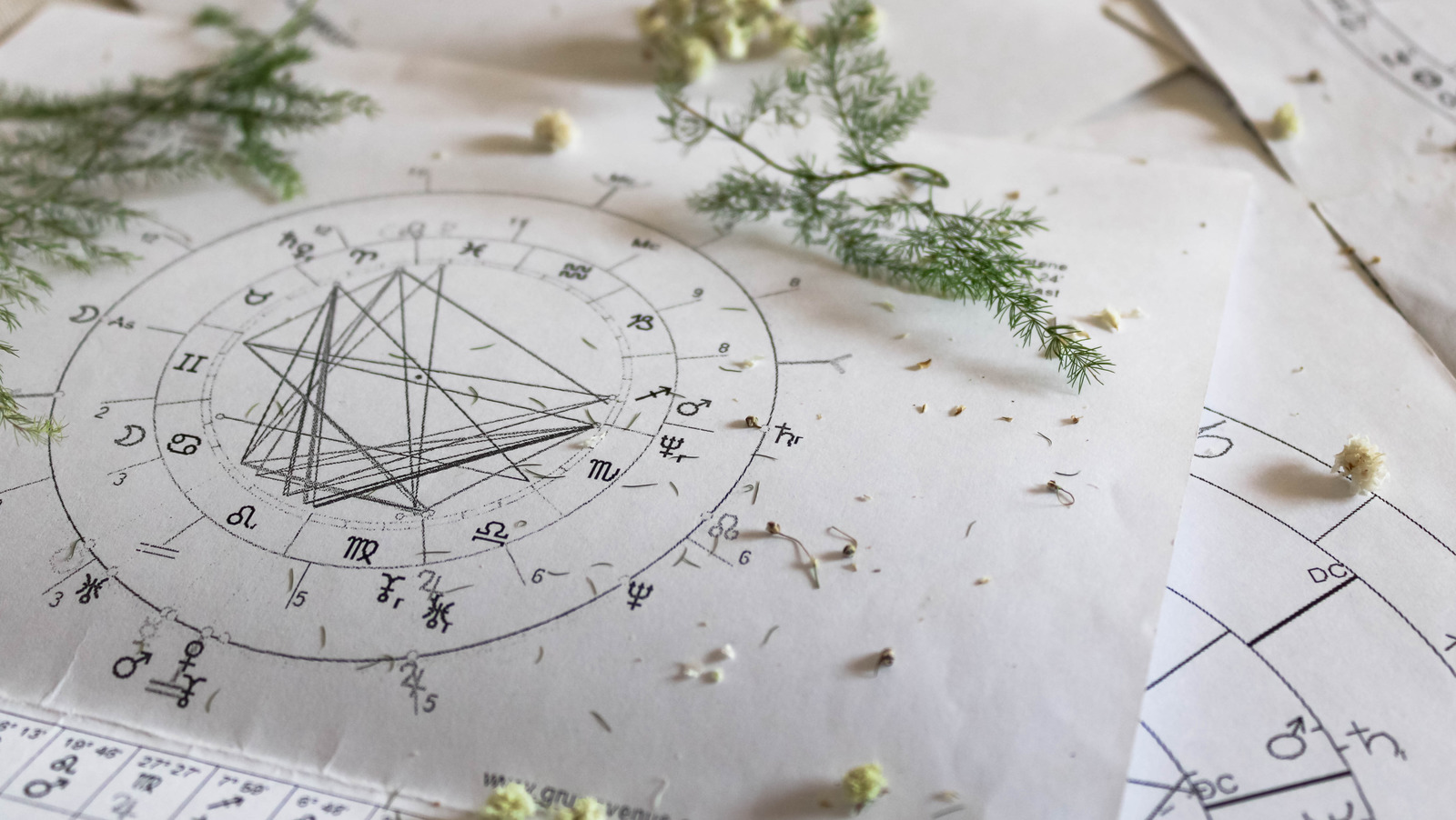 The New Astrological Year Starts March 20 Here's What It Means For