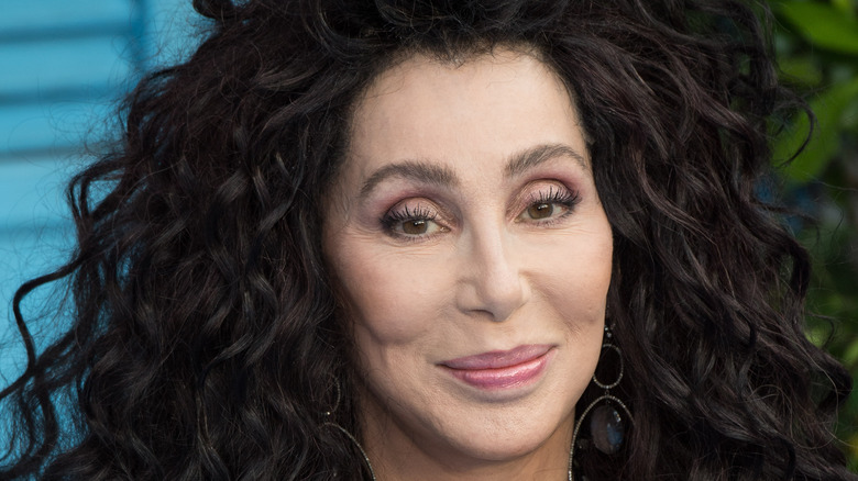The One Hairstyle You'll Never See On Cher