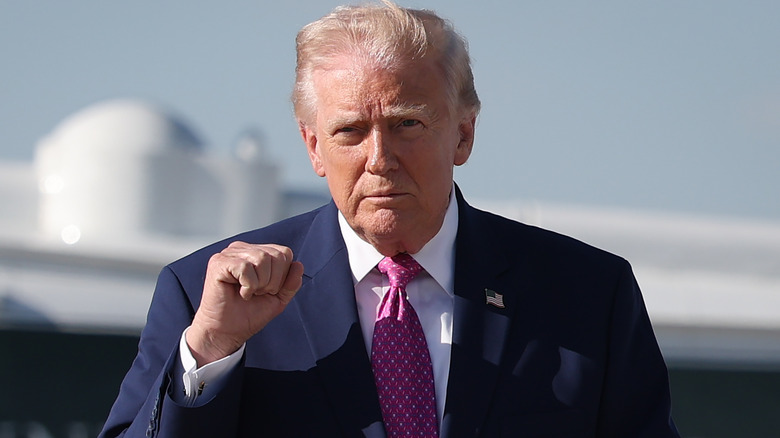 Donald Trump holding up fist outdoors