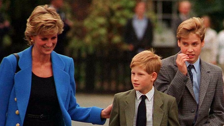 Princess Diana with young sons Harry and William