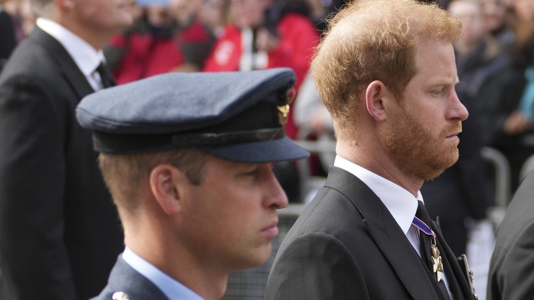 Prince William & Prince Harry