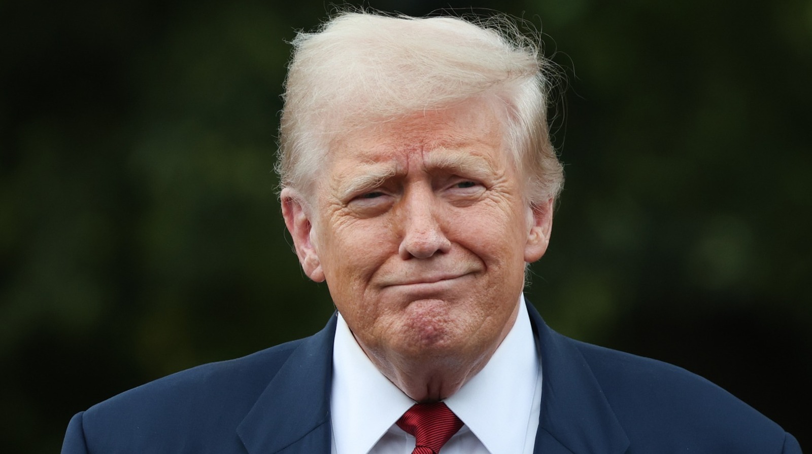 <a href="https://www.thelist.com/1935484/donald-trump-plastic-surgery-procedures-he-could-use-expert/" target="_blank">The Plastic Surgery Procedures Donald Trump Could Benefit From, According To An Expert</a>