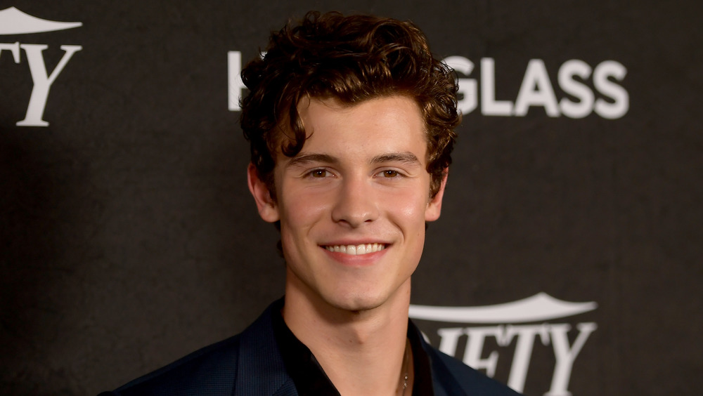 The Powerful Moment That Got Cut From Shawn Mendes' Documentary